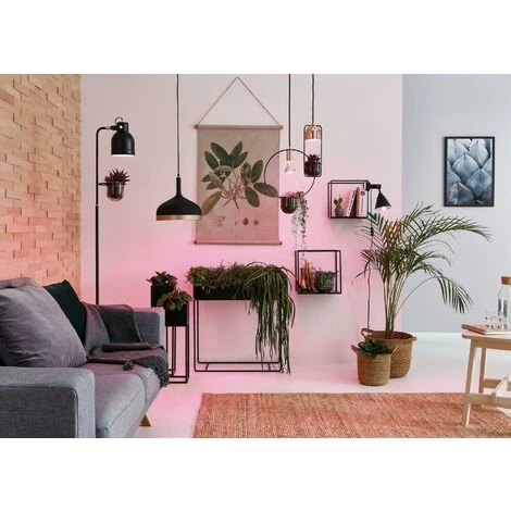 Tout neuf ???? PAULMANN Ampoule Led 6,5w Grand Culot E27 Pour Plantes Vertes 287.33 ✨ 2 Tout neuf ???? PAULMANN Ampoule Led 6,5w Grand Culot E27 Pour Plantes Vertes 287.33 ✨ – Image 2