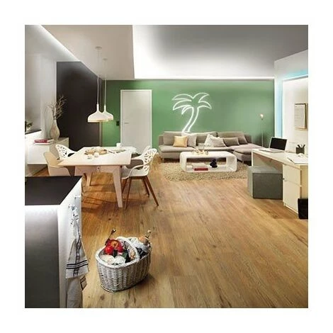 Acheter ⭐ PAULMANN Kit Ruban Lumineux FlexLED 3D - 3m - 8W - Blanc ❤️ 4 Acheter ⭐ PAULMANN Kit Ruban Lumineux FlexLED 3D - 3m - 8W - Blanc ❤️ – Image 4