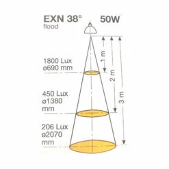 Meilleure vente ???? Paulmann 832.54 Ampoule Halogène 50W GU5.3 EXN Ø51mm 12V 38° 4000h - Blanc ???? -PAULMANN Sales 36582322 3