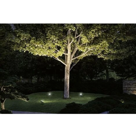 Grosses soldes ❤️ Système D'éclairage Plug&Shine Paulmann 94575 N/A Puissance: 16 W Blanc Chaud N/A ???? 2 Grosses soldes ❤️ Système D'éclairage Plug&Shine Paulmann 94575 N/A Puissance: 16 W Blanc Chaud N/A ???? – Image 2