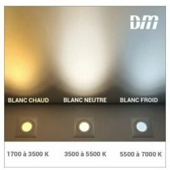 Offres ???? Ampoule Modern Classic Edition Globe LED Paulmann - Calotte Réflectrice - 6.5W - 2700K ???? -PAULMANN Sales 48760145 5