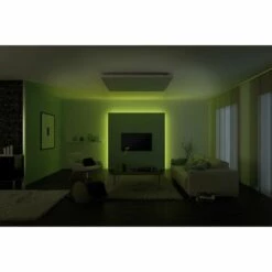 De gros ✨ Ruban LED (Extension) Paulmann MaxLED RGB 70570 N/A Puissance: 13.5 W RVB N/A ???? -PAULMANN Sales 5314412 4