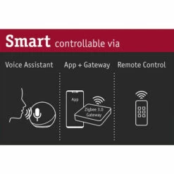 Meilleure affaire ???? Câble Plug&Shine Paulmann - 10m - 1in1out - IP68 - Noir ???? -PAULMANN Sales 59317301 4